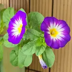 20230308_213216.webp