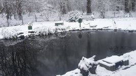 Schnee.jpg