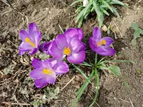 IMG_20230309_114945.jpg