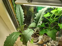 20230310_191532.webp