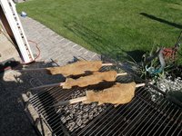 IMG_20220514_171557.jpg
