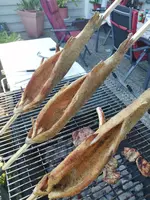 IMG_20220514_175604.webp