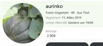 aurinko.webp