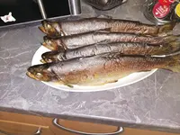 IMG_20210508_214325.webp