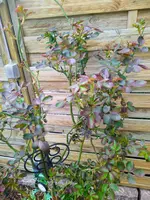 IMG_20230311_145201~2.webp