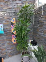 20230312_080905.webp