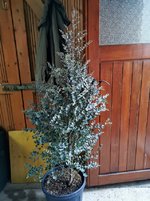 IMG_20230311_171844.jpg