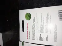 Salat2.webp