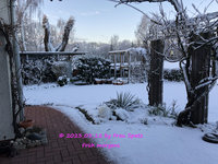 Garten Schnee IMG_4351.jpg