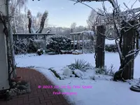 Garten Schnee IMG_4351.jpg