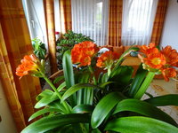 DSC02802.JPG