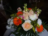 DSC02803.webp