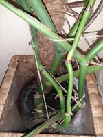 20230312_132303.webp