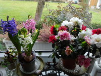 DSC02804.JPG