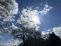 66724AE2-7D03-4F03-B398-72B5D6E6130D.jpeg