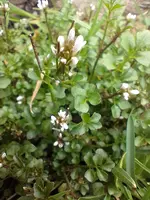 IMG_20230313_163333.webp