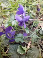 IMG_20230313_163242.webp