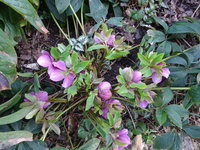 DSC02807.JPG