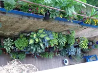 DSC00079.webp DSC00079.webp