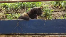 DSCF2728.webp DSCF2728.webp