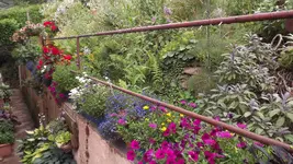 DSCF3032.webp DSCF3032.webp