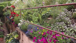 DSCF3032.JPG
