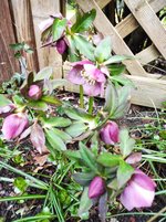 IMG_20230314_162815.jpg