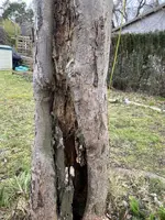 457B7685-C142-4749-90AC-82CA0BF6EE55.webp