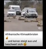 Löwen.webp