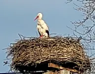 20230315_105841.webp