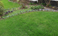 Beet Sp 20220224.jpg