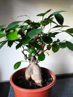 IMG_20230315_165629.webp