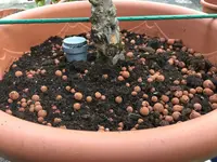 Kübel mit Stab-Pfahl-Köcher_31.jpg Kübel mit Stab-Pfahl-Köcher_31.jpg