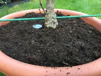 Kübel mit Stab-Pfahl-Köcher_32.jpg Kübel mit Stab-Pfahl-Köcher_32.jpg