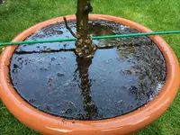 Kübel mit Stab-Pfahl-Köcher_33.jpg Kübel mit Stab-Pfahl-Köcher_33.jpg