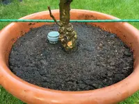 Kübel mit Stab-Pfahl-Köcher_34.jpg Kübel mit Stab-Pfahl-Köcher_34.jpg