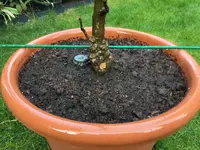 Kübel mit Stab-Pfahl-Köcher_35.jpg Kübel mit Stab-Pfahl-Köcher_35.jpg