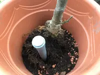 Kübel mit Stab-Pfahl-Köcher_29.jpg Kübel mit Stab-Pfahl-Köcher_29.jpg