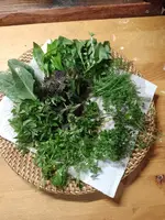 IMG_20230315_104718.webp