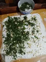 IMG_20230315_130654.webp