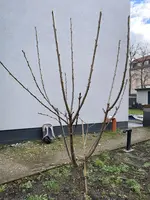 97990FB9-A021-4A11-BC68-08BD26846EA7.webp