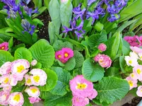IMG_20230212_142639.webp