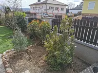 IMG_20230315_124415.webp