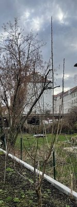 671D6655-E299-4248-9E0E-382C66E9BB35.jpeg