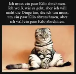 37C0823A-CC9E-4806-99D6-E724D1C509A3.webp