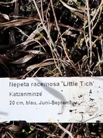 20230316_145704.webp 20230316_145704.webp