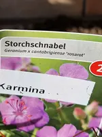 20230316_145729.webp 20230316_145729.webp