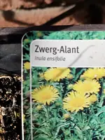 20230316_145721.webp 20230316_145721.webp