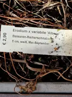 20230316_145745.webp 20230316_145745.webp