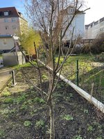 IMG_7557.JPG